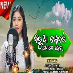 Nirua Monata Khoje Bhara